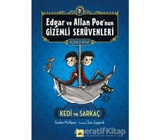 Edgar ve Allan Poenun Gizemli Serüvenleri - 3: Kedi ve Sarkaç - Gordon McAlpine - Kolektif Kitap