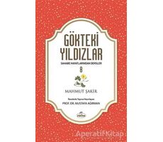 Gökteki Yıldızlar 8 - Mustafa Ağırman - Ravza Yayınları