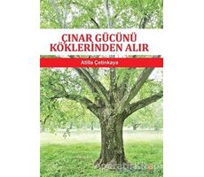 Çınar Gücünü Köklerinden Alır - Atilla Çetinkaya - Cinius Yayınları