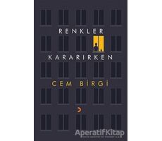 Renkler Kararırken - Cem Birgi - Cinius Yayınları