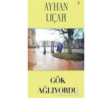 Gök Ağlıyordu - Ayhan Uçar - Cinius Yayınları