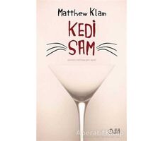 Kedi Sam - Matthew Klam - Aylak Adam Kültür Sanat Yayıncılık