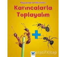 Karıncalarla Toplayalım - Tracey Steffora - Mavi Kelebek Yayınları