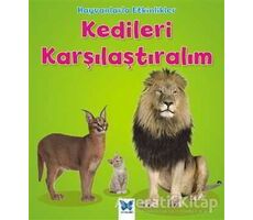 Hayvanlarla Etkinlikler - Kedileri Karşılaştıralım - Tracey Steffora - Mavi Kelebek Yayınları