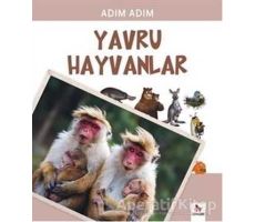 Yavru Hayvanlar - Fiametta Dogi - Almidilli