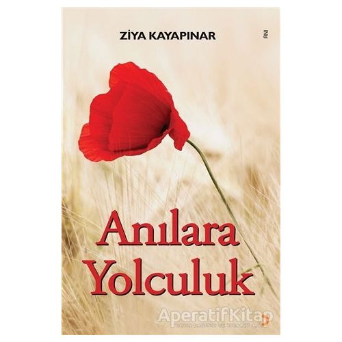 Anılara Yolculuk - Ziya Kayapınar - Cinius Yayınları