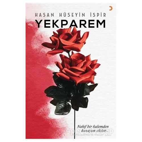 Yekparem - Hasan Hüseyin İspir - Cinius Yayınları