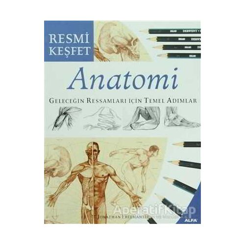 Anatomi Geleceğin Ressamları İçin Temel Adımlar - Jonathan Freemantle - Alfa Yayınları