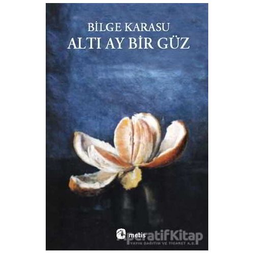 Altı Ay Bir Güz - Bilge Karasu - Metis Yayınları
