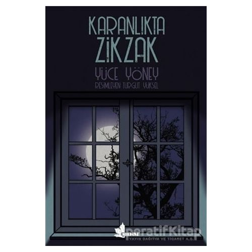 Karanlıkta Zikzak - Yüce Yöney - Çınar Yayınları