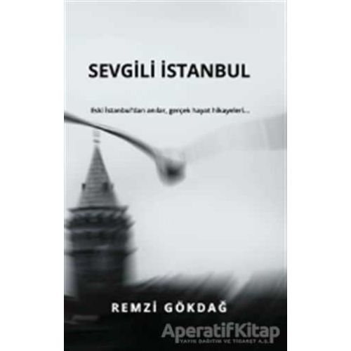 Sevgili İstanbul - Remzi Gökdağ - E Yayınları