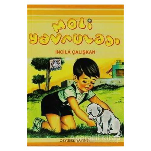 Moli Yavruladı - İncila Çalışkan - Özyürek Yayınları