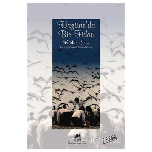 Haziranda Bir Fidan - Levent Turhan Gümüş - Ayrıntı Yayınları
