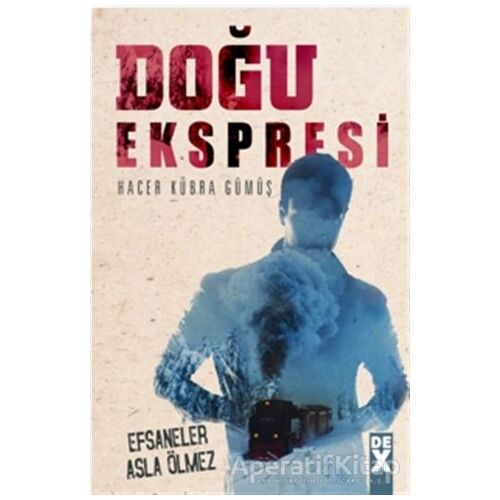 Doğu Ekspresi - Hacer Kübra Gümüş - Dex Yayınevi