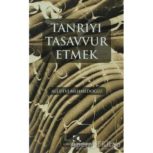 Tanrıyı Tasavvur Etmek - Ali Ulvi Mehmedoğlu - Çamlıca Yayınları