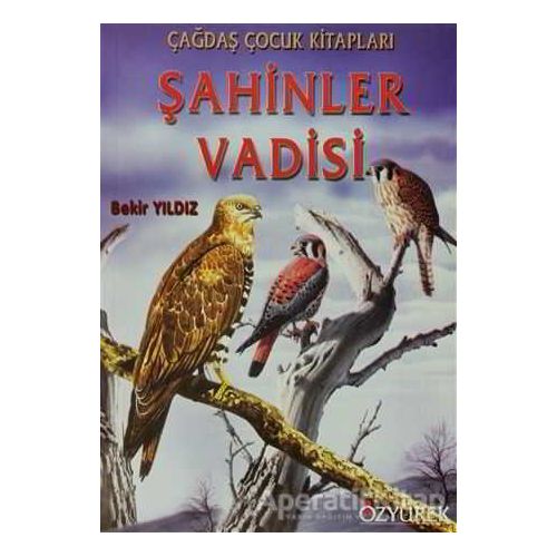 Şahinler Vadisi - Bekir Yıldız - Özyürek Yayınları