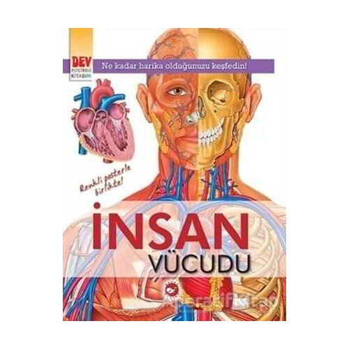 İnsan Vücudu - Kolektif - Beyaz Balina Yayınları