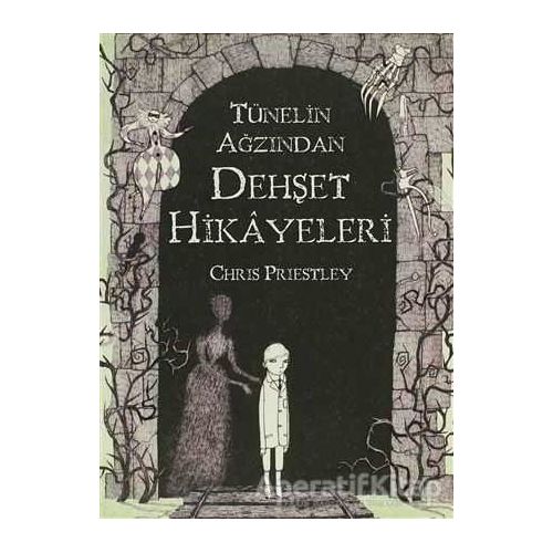 Tünelin Ağzından Dehşet Hikayeleri - Chris Priestley - Tudem Yayınları