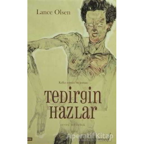 Tedirgin Hazlar - Lance Olsen - Versus Kitap Yayınları