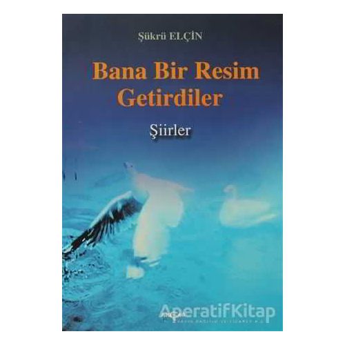 Bana Bir Resim Getirdiler - Şükrü Elçin - Akçağ Yayınları