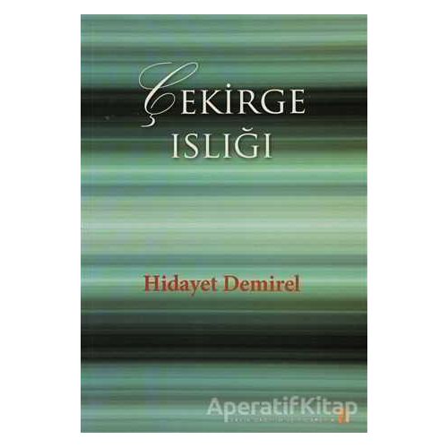 Çekirge Islığı - Hidayet Demirel - Cinius Yayınları