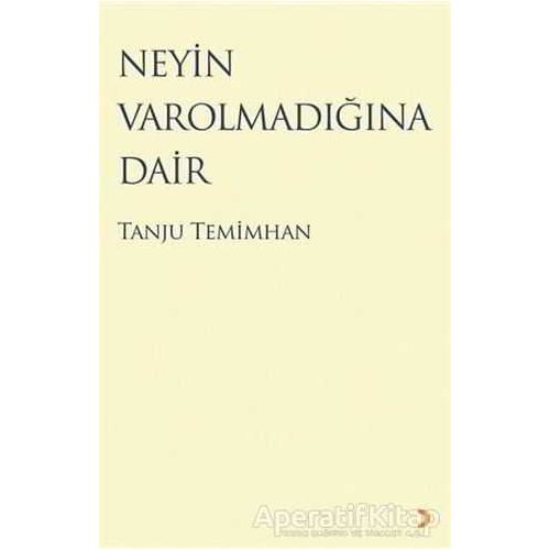 Neyin Varolmadığına Dair - Tanju Temimhan - Cinius Yayınları