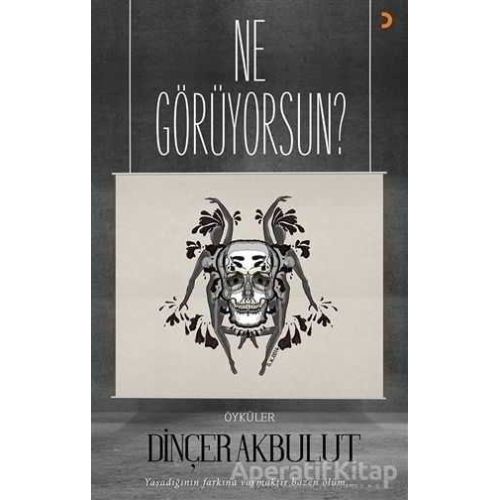 Ne Görüyorsun? - Dinçer Akbulut - Cinius Yayınları