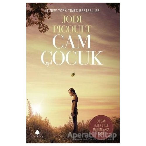 Cam Çocuk - Jodi Picoult - April Yayıncılık