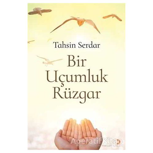 Bir Uçumluk Rüzgar - Tahsin Serdar - Cinius Yayınları