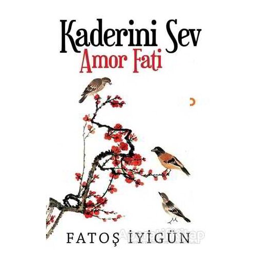 Kaderini Sev - Fatoş İyigün - Cinius Yayınları