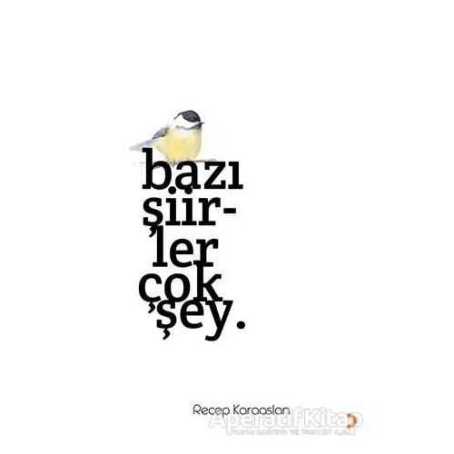 Bazı Şiirler Çok Şey. - Recep Karaaslan - Cinius Yayınları