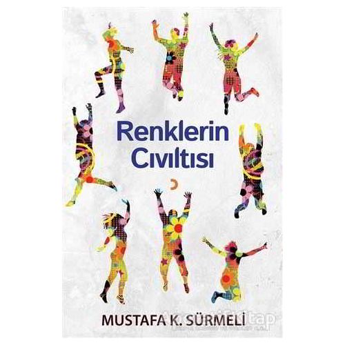 Renklerin Cıvıltısı - Mustafa K. Sürmeli - Cinius Yayınları