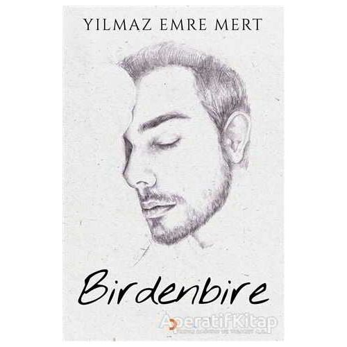 Birdenbire - Yılmaz Emre Mert - Cinius Yayınları