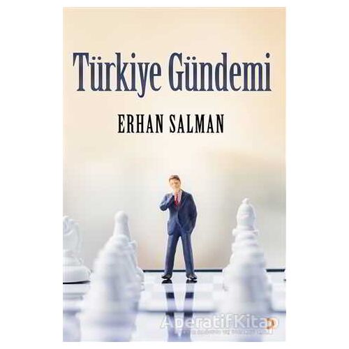 Türkiye Gündemi - Erhan Salman - Cinius Yayınları