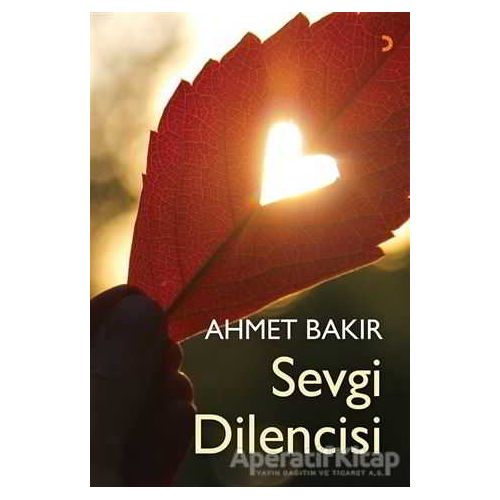 Sevgi Dilencisi - Ahmet Bakır - Cinius Yayınları