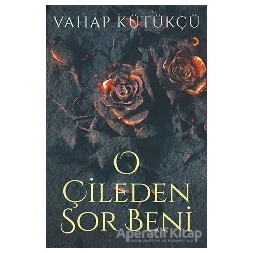 O Çileden Sor Beni - Vahap Kütükçü - Cinius Yayınları