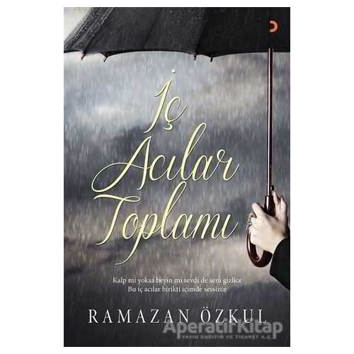 İç Acılar Toplamı - Ramazan Özkul - Cinius Yayınları