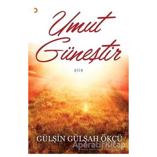 Umut Güneştir - Gülşin Gülşah Ökçü - Cinius Yayınları