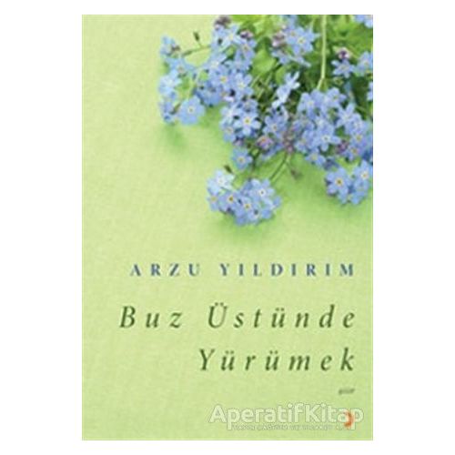 Buz Üstünde Yürümek - Arzu Yıldırım - Cinius Yayınları
