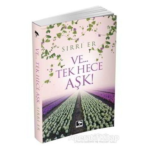 Ve...Tek Hece Aşk! - Sırrı Er - Çınaraltı Yayınları