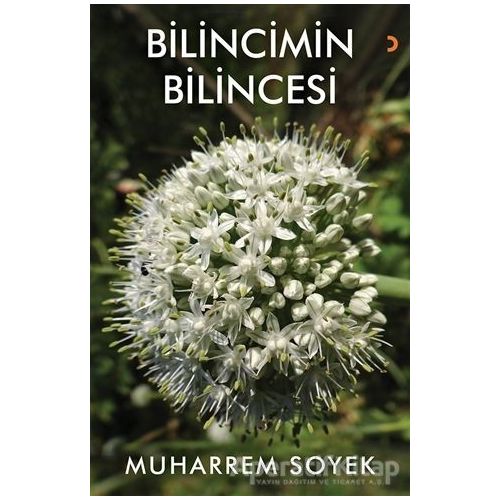 Bilincimin Bilincesi - Muharrem Soyek - Cinius Yayınları