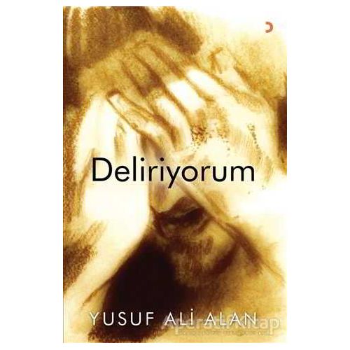 Deliriyorum - Yusuf Ali Alan - Cinius Yayınları