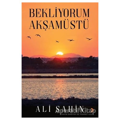 Bekliyorum Akşamüstü - Ali Şahin - Cinius Yayınları