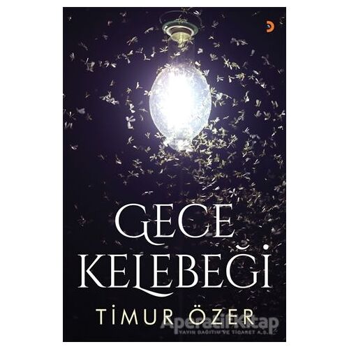 Gece Kelebeği - Timur Özer - Cinius Yayınları
