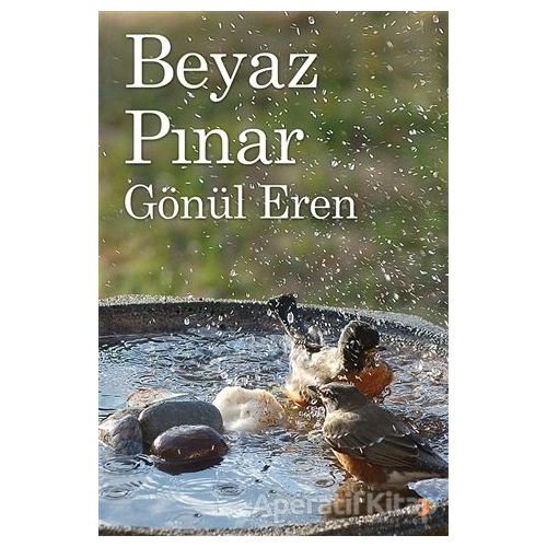 Beyaz Pınar - Gönül Erenler - Cinius Yayınları