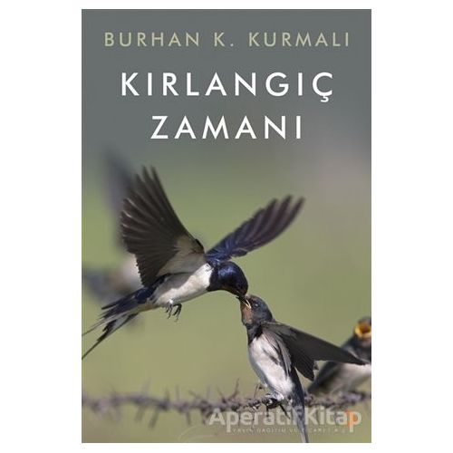 Kırlangıç Zamanı - Burhan K. Kurmalı - Cinius Yayınları