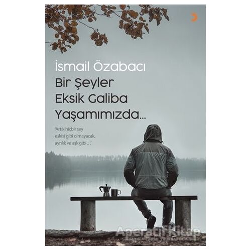 Bir Şeyler Eksik Galiba Yaşamımızda - İsmail Özabacı - Cinius Yayınları