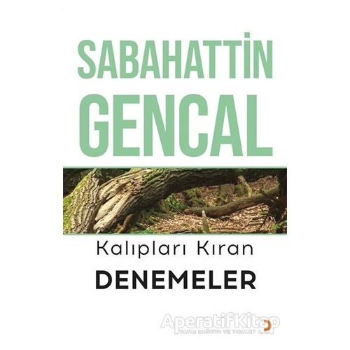 Kalıpları Kıran Denemeler - Sabahattin Gencal - Cinius Yayınları