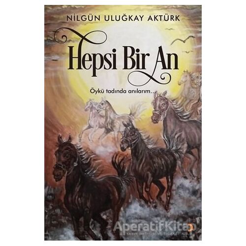 Hepsi Bir An - Nilgün Uluğkay Aktürk - Cinius Yayınları