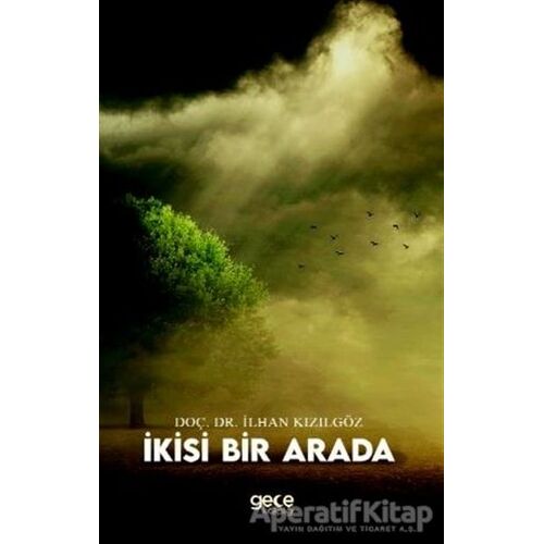 İkisi Bir Arada - İlhan Kızılgöz - Gece Kitaplığı
